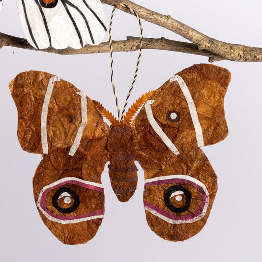 Madagascar Silk Moth Ornament - Tan